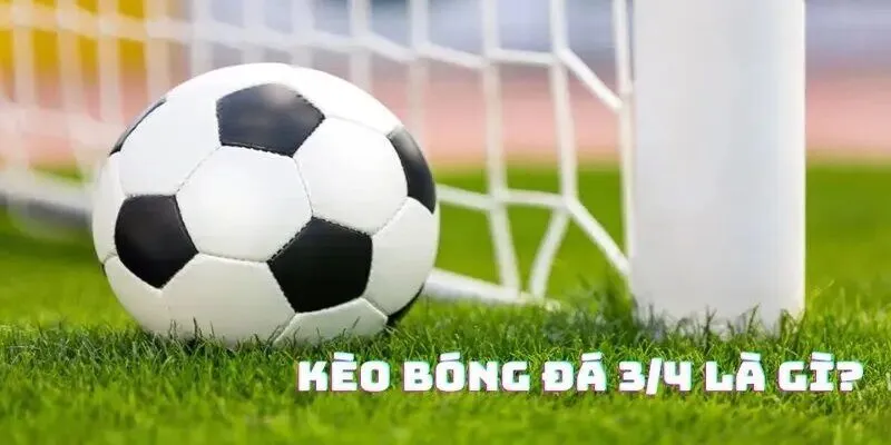 Kèo 0.75 là gì - Cách chiến thắng tỷ lệ đặc biệt này