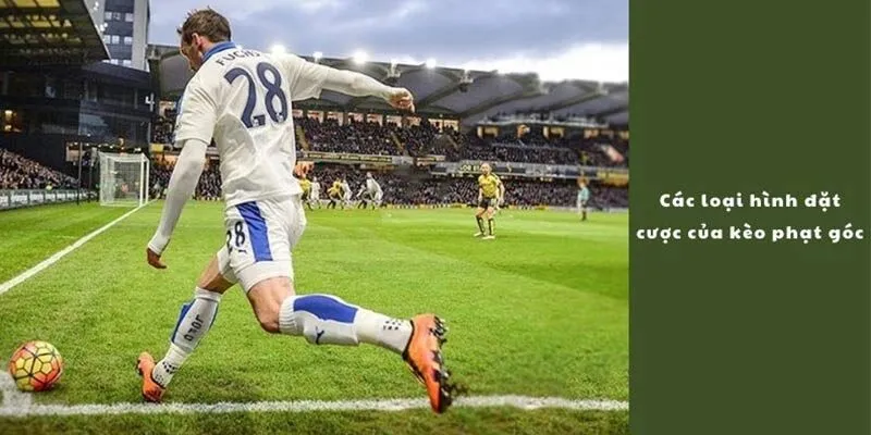 Nhiều nhà cái triển khai nhiều loại kèo phạt góc phục vụ người chơi